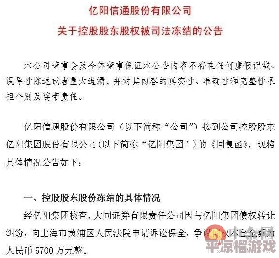 林美心深陷财务纠纷信誉受损面临多项指控